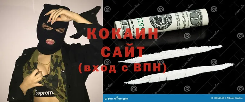 blacksprut как зайти  Камышлов  COCAIN Fish Scale 